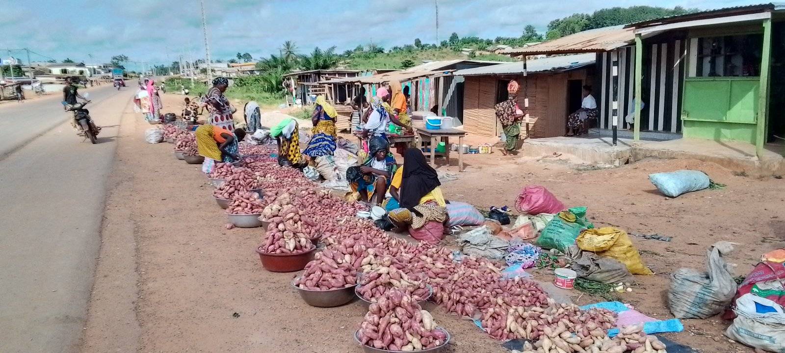 id cocoa et la patate