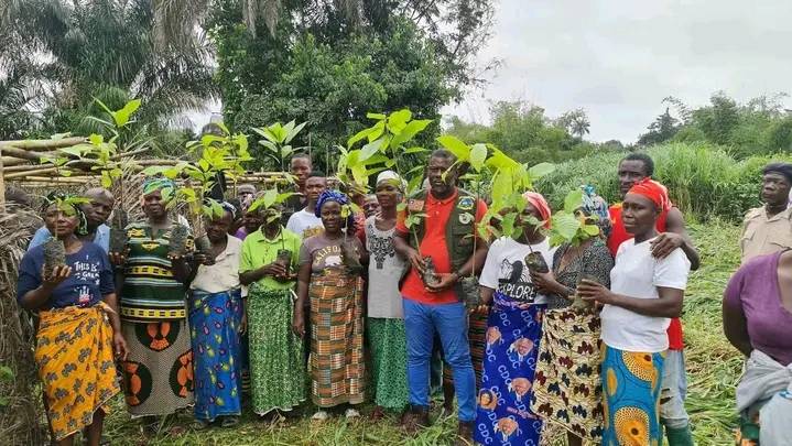 Le boom du cacao au Liberia